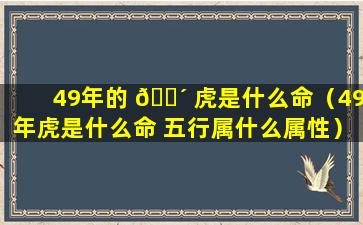 49年的 🌴 虎是什么命（49年虎是什么命 五行属什么属性）